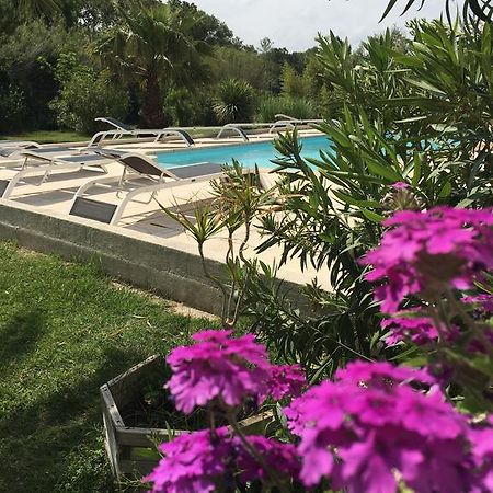 Appart'Hotel Et Chambres Essentiel Spa Arles Exterior foto